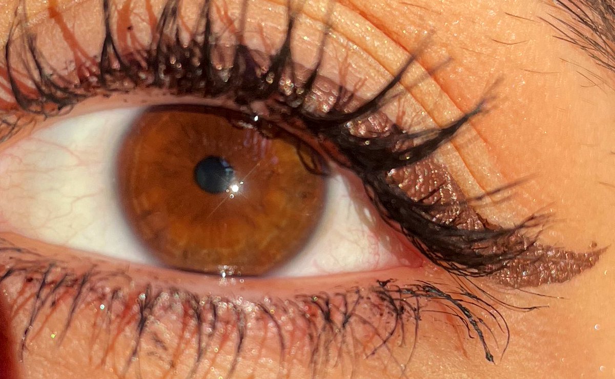 lokodistreet's tweet photo. A vida tem olhos lindos... E são castanhos! ❤️ https://t.co/EXPY3tNG2k