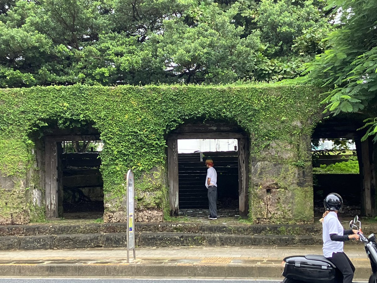 Sue Thotz tweet media