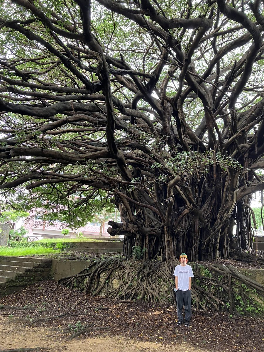 Sue Thotz tweet media