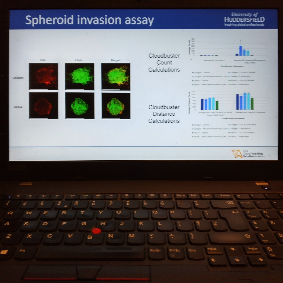 Dr Anke Richardson (@ankebgyar) on Twitter photo Talk ready for #ACTC2022 on Nov 11. Hear about our newest findings with Cloudbuster from <a href="/SallyPrior3/">Sally Prior</a> and a great talk by <a href="/DrJessicaSenior/">Jessica Senior</a> <a href="/3DBioImaging/">IBIN</a> @FRAMEcharity <a href="/3DbioNet/">3dbionet</a> <a href="/ProfAlanMSmith/">Prof. Alan M Smith</a> <a href="/YorkshireBTC/">Yorkshire's Brain Tumour Charity</a> Talk ready for #ACTC2022 on Nov 11. Hear about our newest findings with Cloudbuster from <a href="/SallyPrior3/">Sally Prior</a> and a great talk by <a href="/DrJessicaSenior/">Jessica Senior</a> <a href="/3DBioImaging/">IBIN</a> @FRAMEcharity <a href="/3DbioNet/">3dbionet</a> <a href="/ProfAlanMSmith/">Prof. Alan M Smith</a> <a href="/YorkshireBTC/">Yorkshire's Brain Tumour Charity</a>