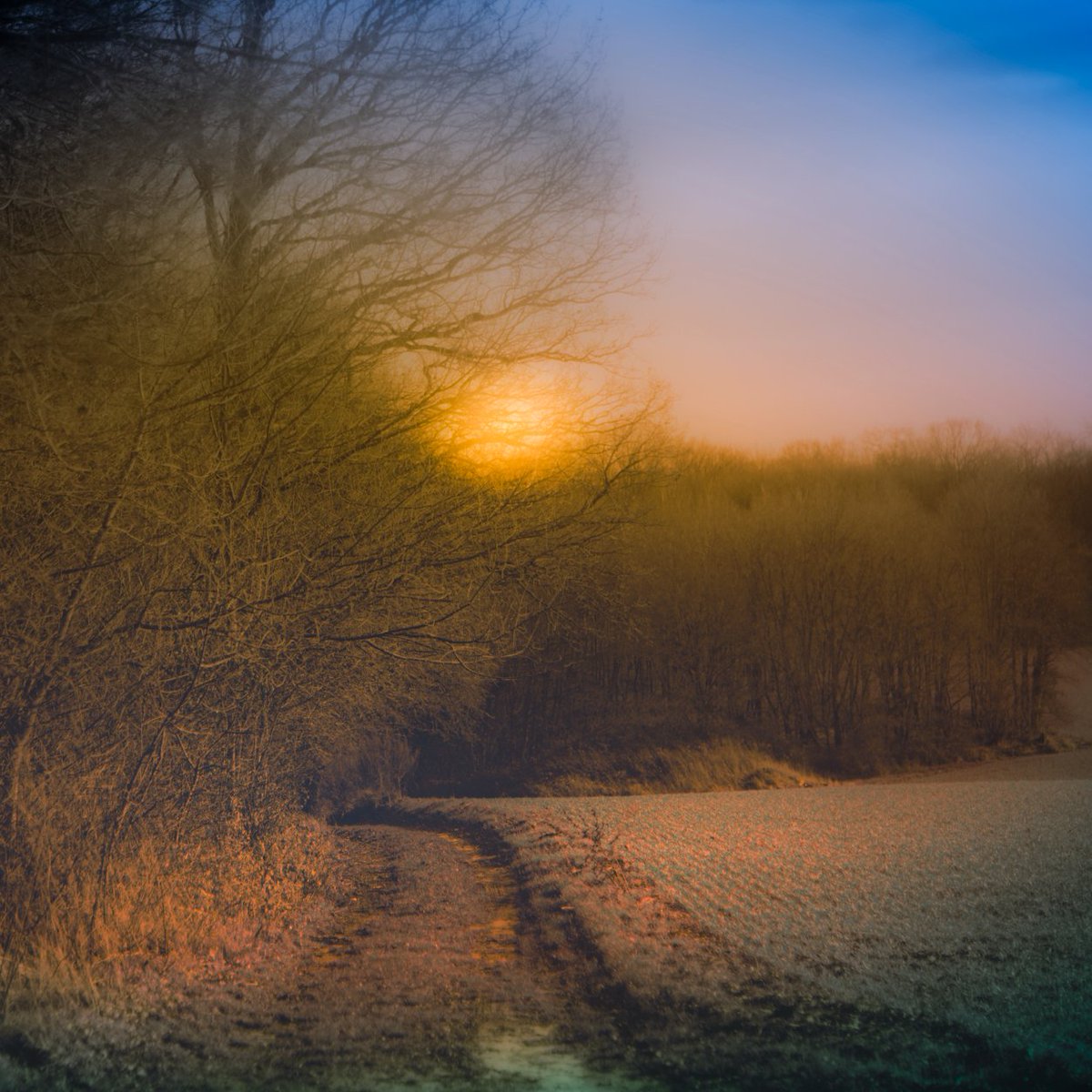 Laetitia Portal (@laetitiawilfert) on Twitter photo 