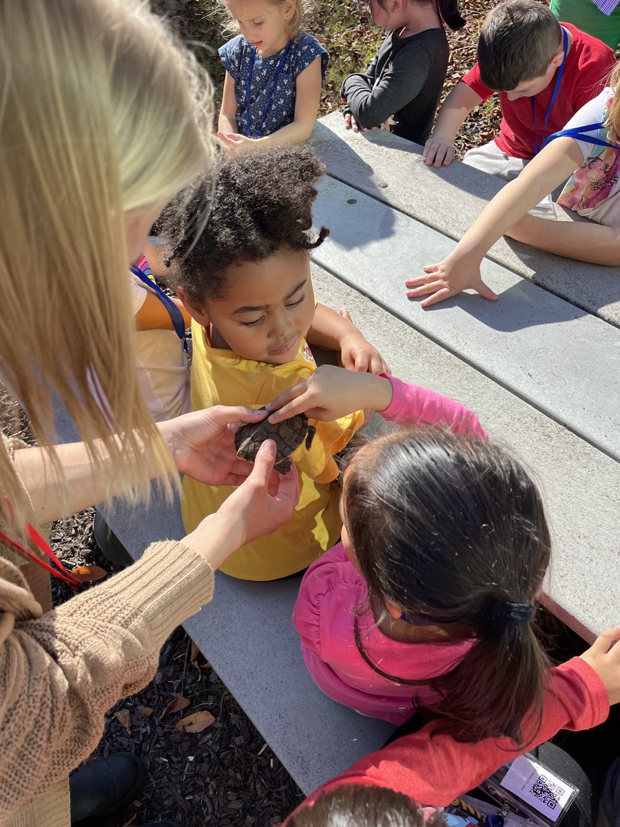 BigCowboy22's tweet photo. Holland Heights TK students learning about turtles today. #newshgts #naturebasedlearning #funlearningexperiences https://t.co/H82Ol8ObZu
