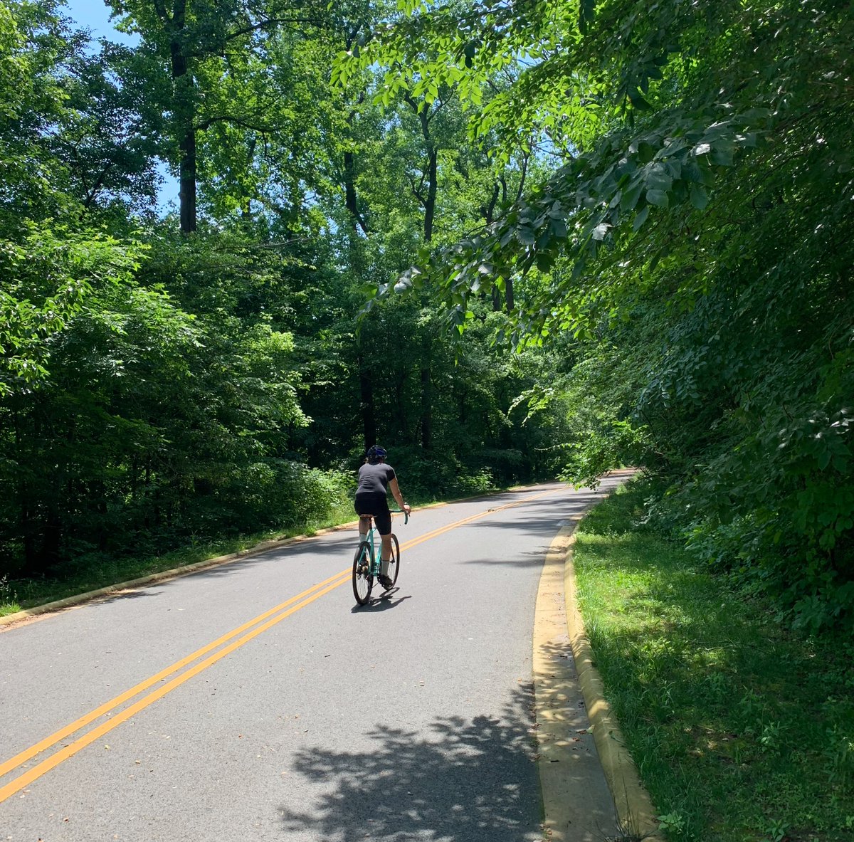 Today, <a href="/RockCreekNPS/">Rock Creek Park</a> announced their final decision to permanently open Upper Beach Drive for recreation. We celebrate this historic decision! 

Learn more: rockcreekconservancy.org/beach-drive
