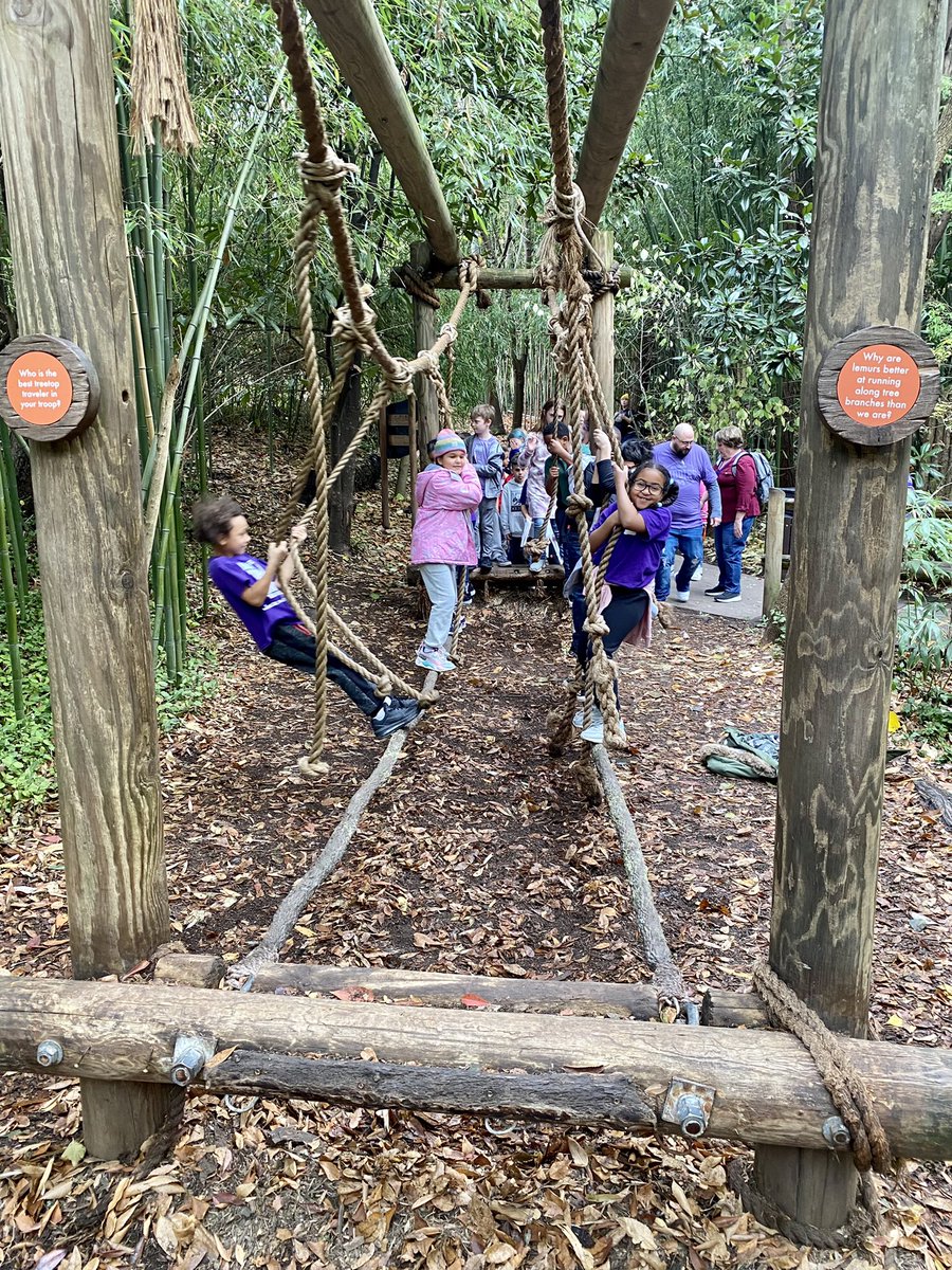 3rd Grade Field Trip to the Zoo 🦒🐘🐅 We had so much fun!