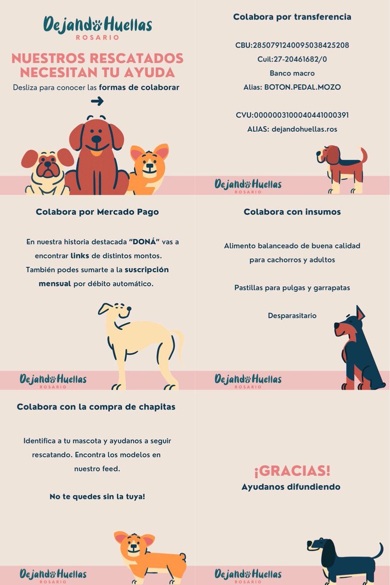❌ Necesitamos AYUDA
ECONOMICA para cubrir los gastos de nuestros
rescatados y seguir rescatando ❌ 

Nuestras cuentas están en rojo y son muchos los gastos que tenemos

En esta publi te contamos las formas de colaborar 🤍

✨Nos ayudas difundiendo?✨

GRACIAS!!

@VivirenRosario