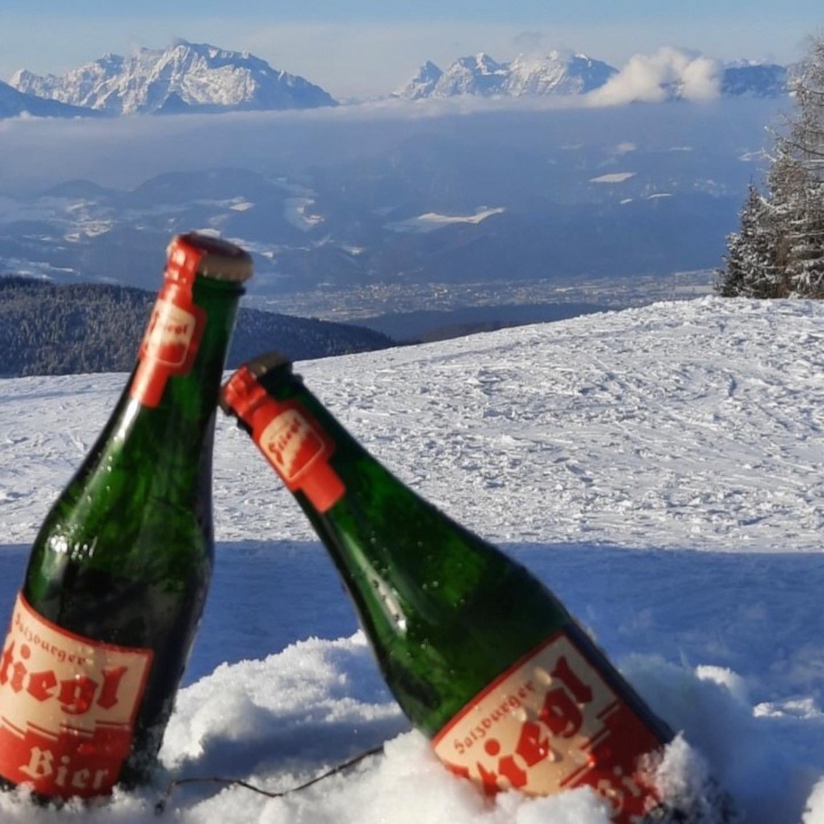 Nook the bar tweet media