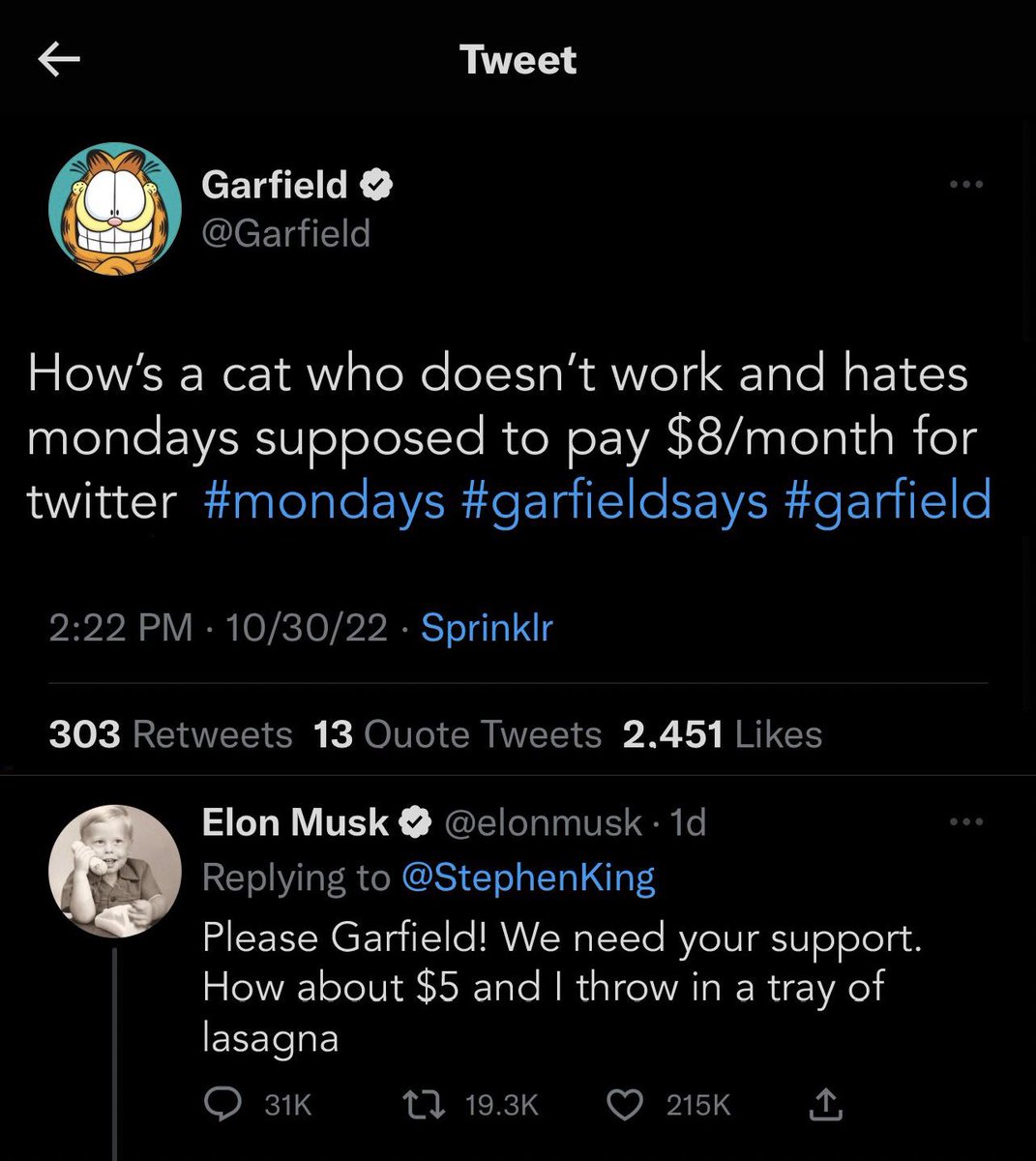 SometimesVG's tweet photo. Even Garfield knows Elon's Twitter changes are shit. https://t.co/4FQIH8MMj6