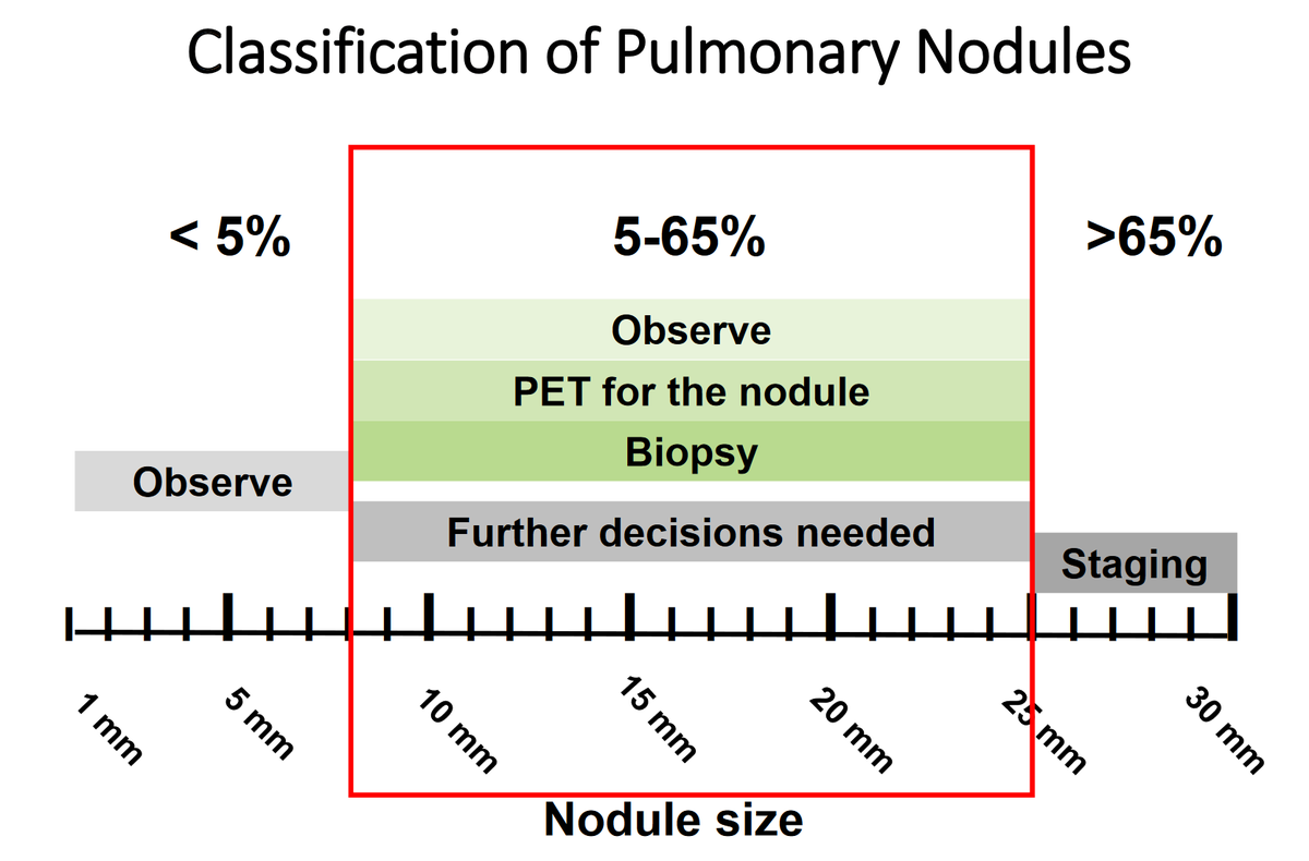 MeltiadyIssa's tweet photo. 🌟#MayoMGR today with @TobiasPeikertMD
"To Treat or Not to Treat – Advances Towards Individualized Early Detection, Diagnosis and Therapy of Early-Stage Lung Cancer"
@MayoPCCM @MayoClinicCIM @Dr_Vijay_Shah
#LungCancer #IndividualizedMedicine #PulmTwitter #OncTwitter #MedTwitter https://t.co/Dxl98Zp2fb