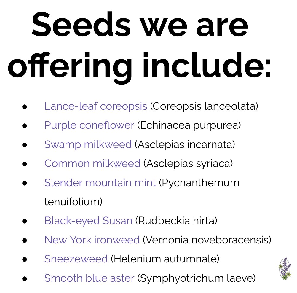 Ever wonder what your favorite native blooms look like as seeds? 🌼 Here are some popular seeds we will have available this Saturday for you to create your own native seed mix 🍂🌱 Visit anytime between 11am and 1pm!