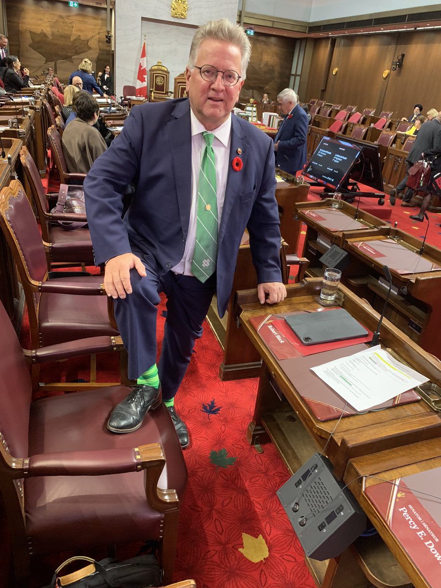 Very proud to show my <a href="/4HCanada/">4-H Canada 🍀🇨🇦</a>/ <a href="/4HOntario/">4-H Ontario</a> colours in the <a href="/SenateCA/">Senate of Canada</a> Chamber on this 2022 #ShowYour4HColours Day.