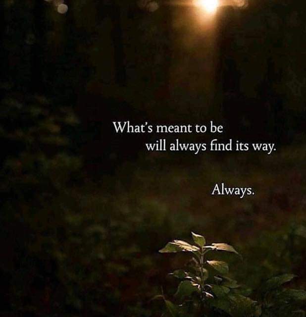 TimoWaris's tweet photo. Good Night Friends 🖖🏻❤
#withinme https://t.co/WYrUkeHbb1