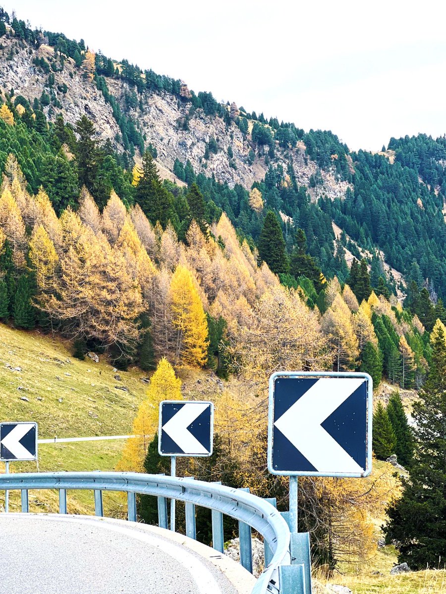 FxAxSxT's tweet photo. "Make the journey the destination and you shall have arrived"

#quote by me
#lifeisajourney https://t.co/f5e8D7cR7t