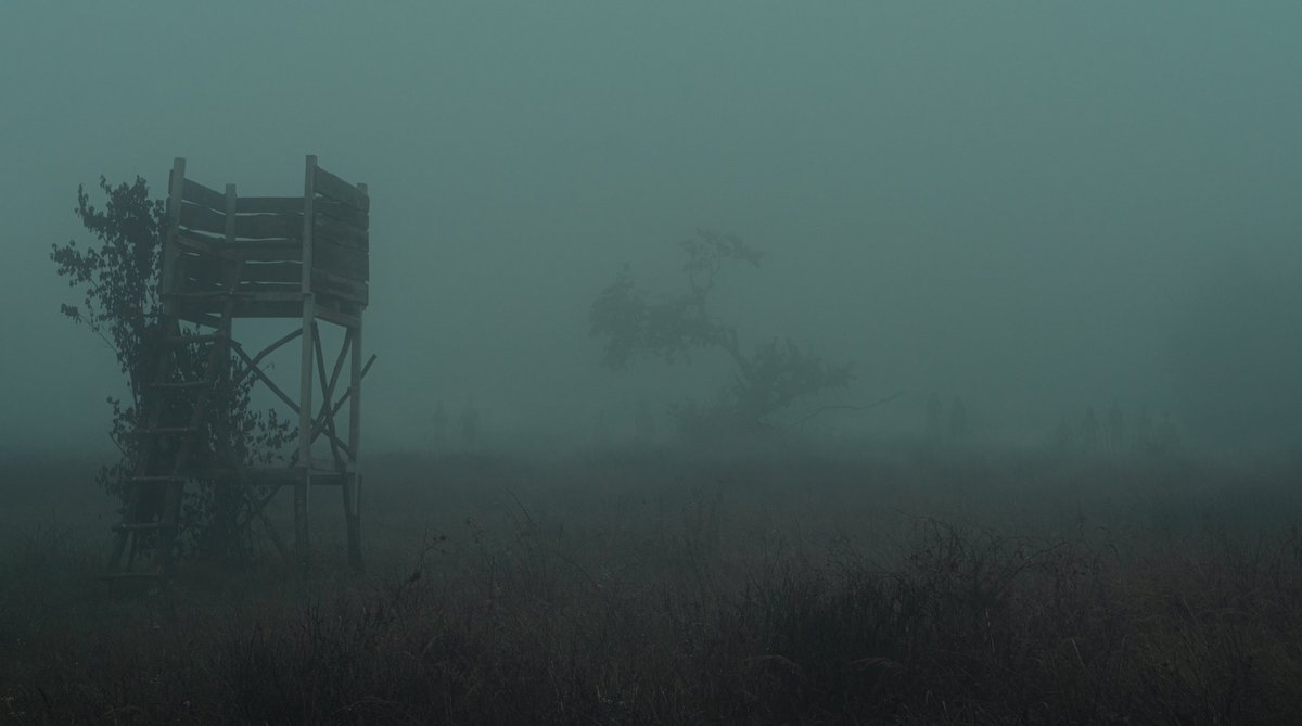 BobbySolace's tweet image. through the shadowlands