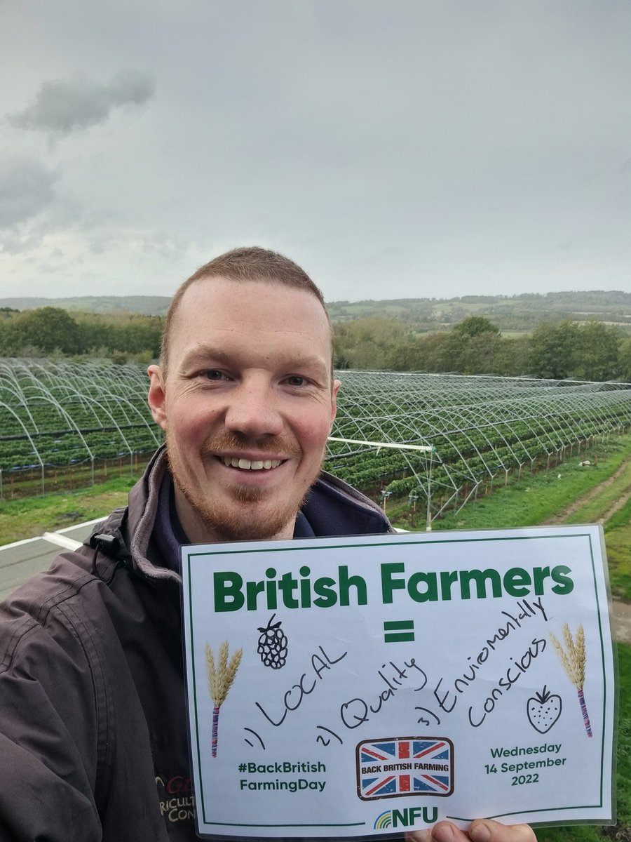 Dan Hawes tweet media