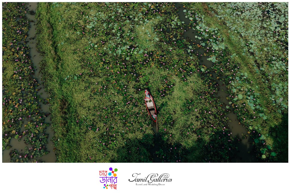 jamilgalleries's tweet photo. Beauty in nature 🖤
© Jamil Galleries 🖤🥀
For Package queries please Follow the
link: https://t.co/zOmtI99TJW
E-mail: info@jamilgalleries.com
For Premium Photography & Cinematography
Dhaka : +8809613824246 , +8801914168754
#jamilgalleries
#gazipur #zindapark #park #rainforest https://t.co/HhSie5opwF