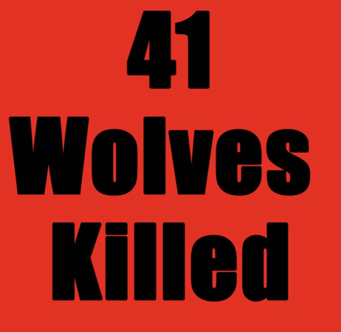 Dr. Lynn Schmidt tweet media