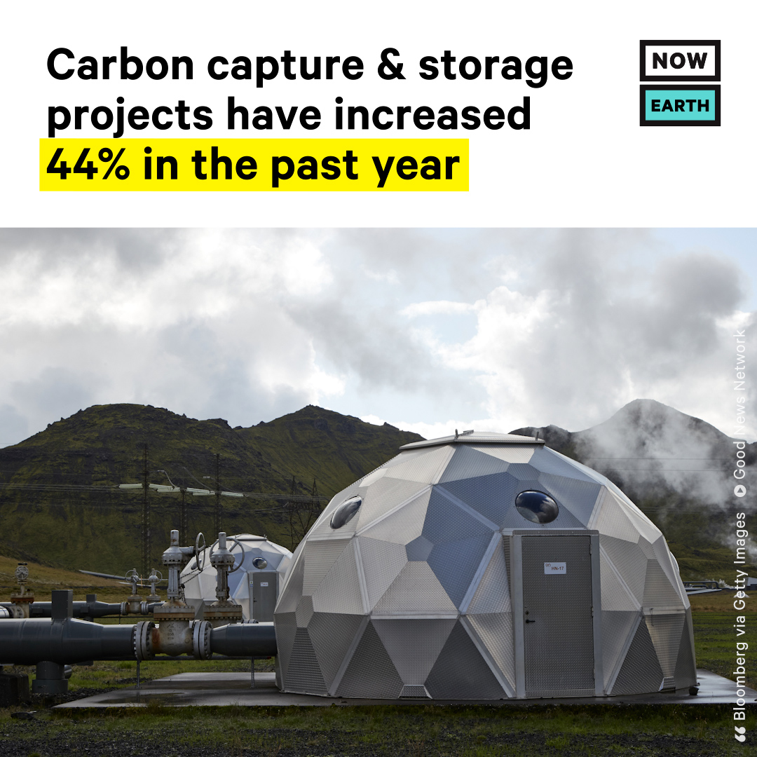 NowThis Impact tweet media