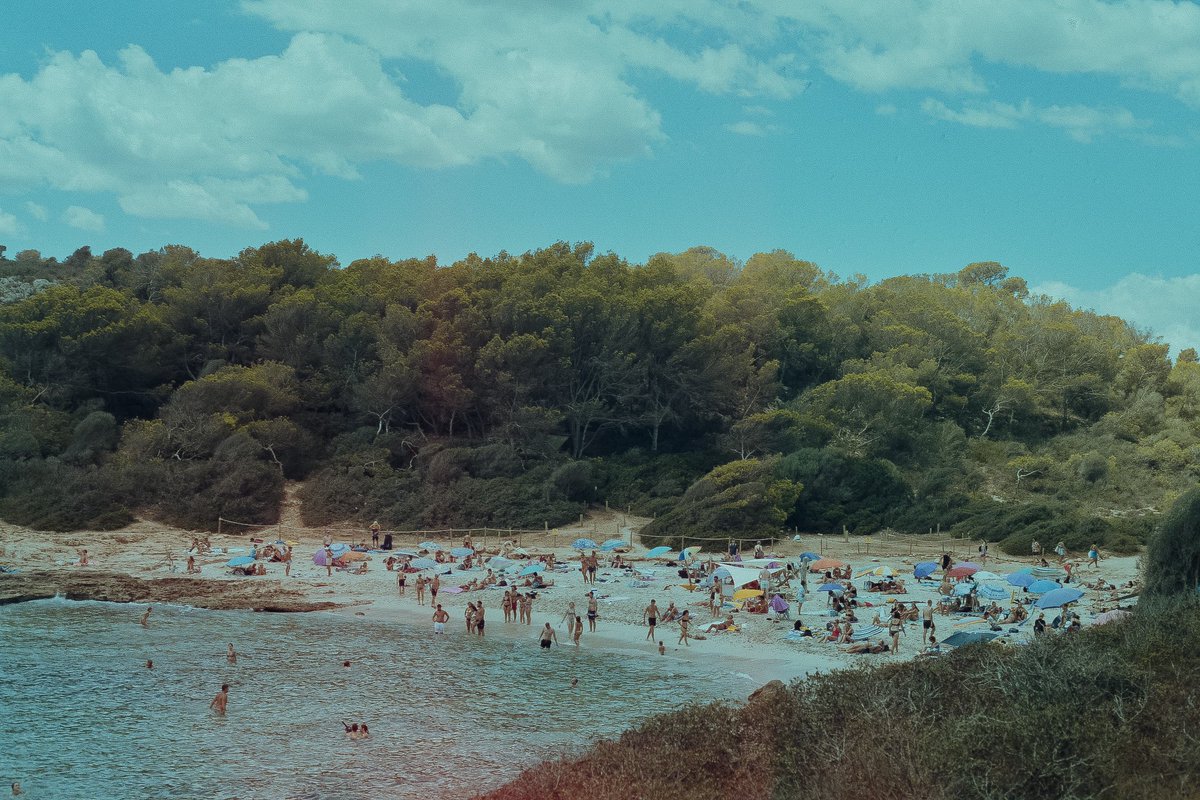 ingloriousjohn_'s tweet photo. Summertime sadness #35mmfilm #canona1 #cinestill800t https://t.co/ioOugMQaBb
