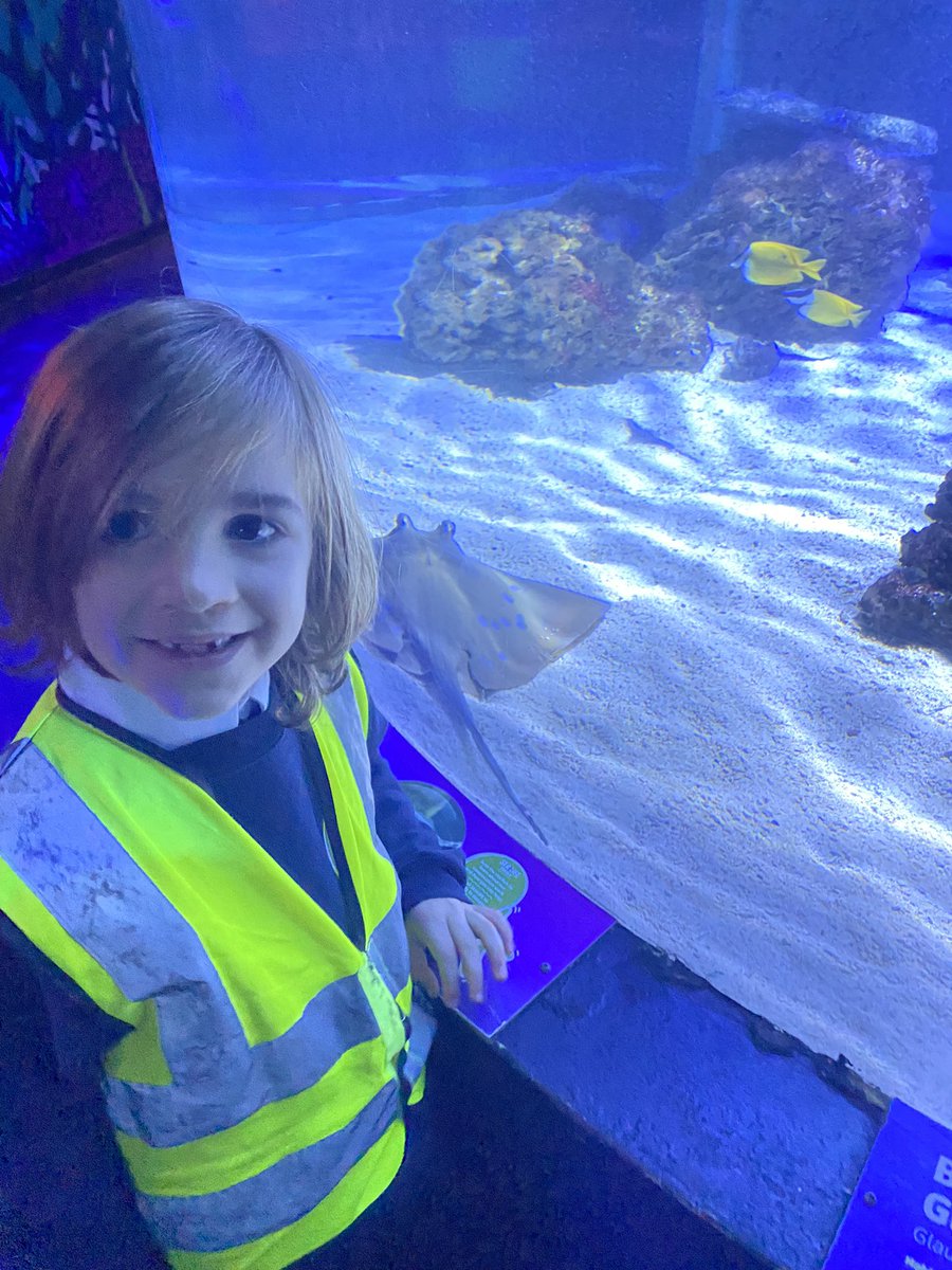 School trip to the sea life centre. 
Happy James. #schooltrip #Dads1stSchoolTrip