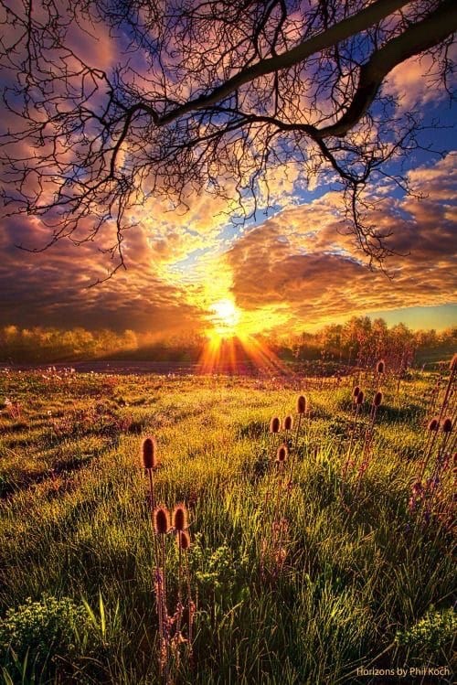 Passez une agréable soirée 
Prenez soin de vous 🙏🏼

Lovely evening to everyone❤️