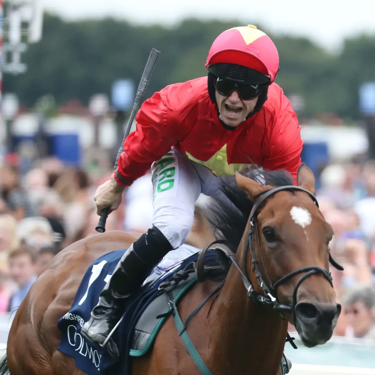 LineaDelSamurai's tweet photo. 🔴HIGHFIELD PRINCESS 🇫🇷 6⃣ ML 7/2 #TURFSPRINT
▶️Jinete: J.Hart
▶️Entrenador: J.Quinn
▶️Edad: 5
▶️Pedigrí: Night of Thunder 🇮🇪 (Dubawi) en Pure Illusion 🇮🇪 (6-a) por Danehill 🇺🇸
▶️Dosage: 2-6-9-7-0 (24), 1.09, 0.13
▶️Opinión: De 30-12 (últ 6-5), 2 G1 al hilo, 6ta en Jubilee Ascot. https://t.co/eqAny4iPXm