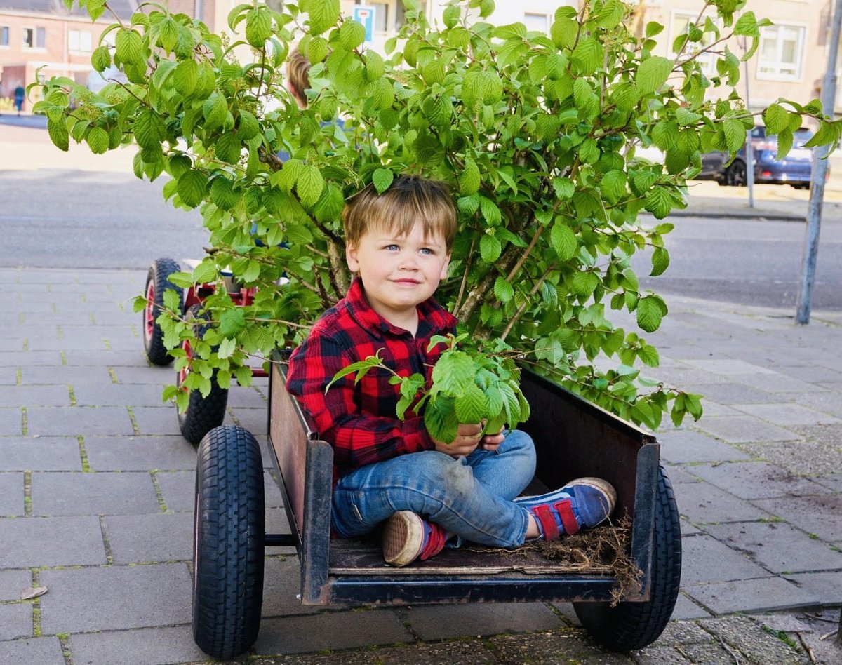 Zaterdag gaan we struikroven!! Bewoners van Drempt gaan tussen 10 en 2 uur planten en struiken redden die rondom het sloopgebied aan de Dreef-Gildeweg en de Ds. De Graaffweg staan. <a href="/rtbrinke/">Remko ten Brinke</a> <a href="/SiteDoetinchem/">Sité Woondiensten</a> @PresentDchem @NellydeVries 🌺🌿🌻🌳💦🐝🦋