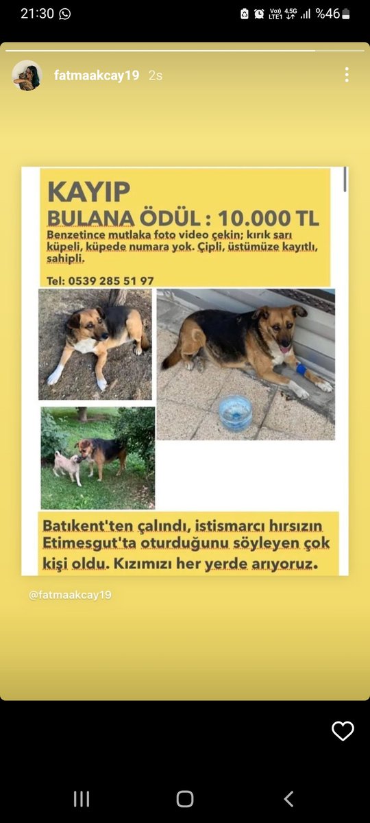 notcasual_'s tweet photo. 14 Ekim akşamı bir tecavüzcü tarafından kaçırılan kızımızdan hala bir iz yok. Hayatından endişe ediyoruz. Paylaşarak bize destek olanlara çok teşekkür ederiz 🙏 bu tecavüzcünün polis tarafından tutuklanması ve yargılanması için haber yapın lütfen @FOXhaber https://t.co/Ea741QEsBG