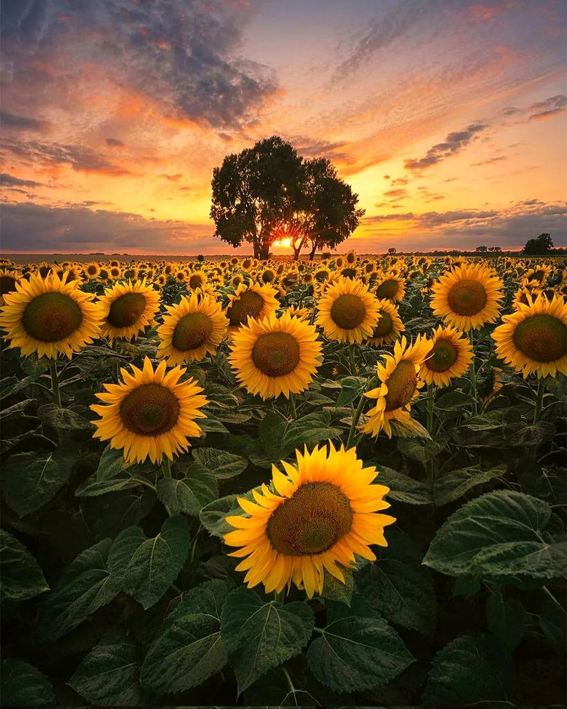 Nature4784's tweet photo. https://t.co/f8HneFWQMG