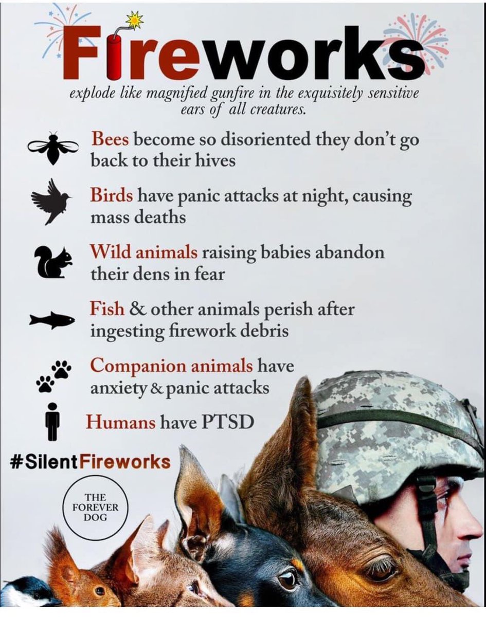 Fireworks are bad for wildlife &amp; companion animals there private sale should be banned