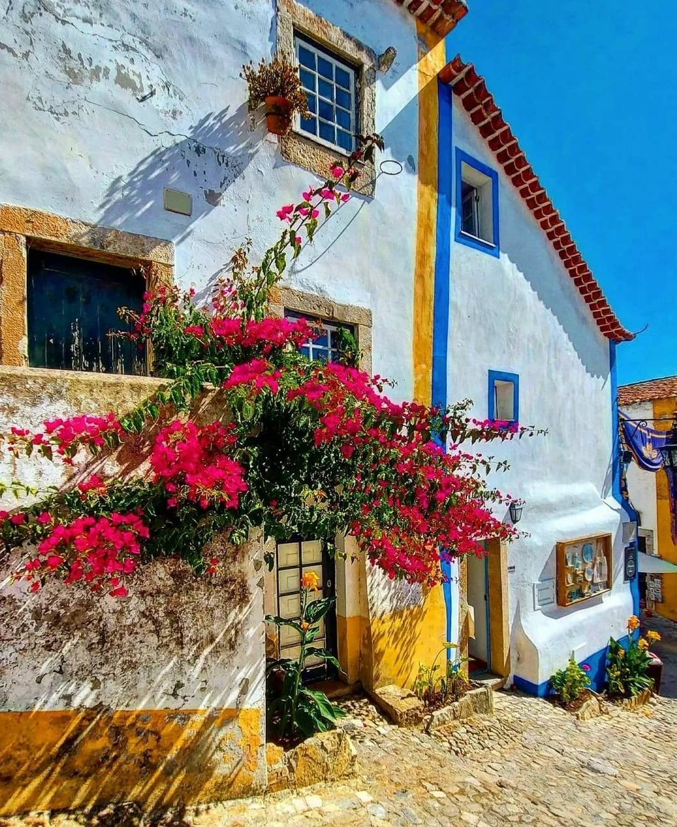 facebook.com/photo?fbid=593…
#charity #nonprofit #donate #love #community #fundraising #support #help #volunteer #giveback #donation #fundraiser #dogood #socialgood #givingback #donations #hope #instagood #change #family #makeadifference #life #art #helpingothers #OBIDOS #EspaçoO