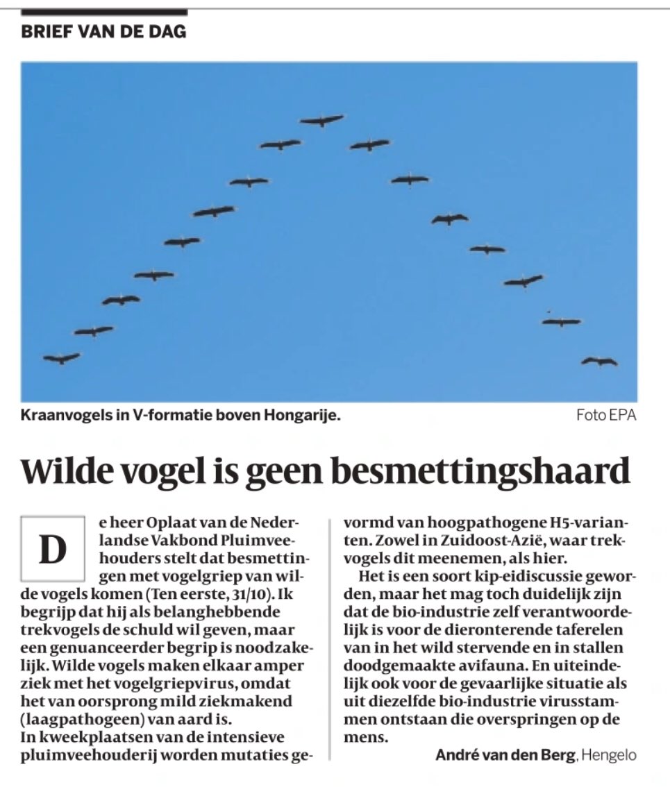 Wilde vogel is geen besmettingshaard. Volkskrant