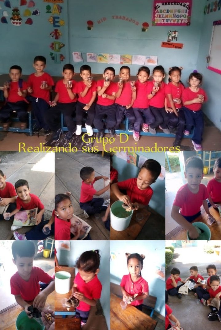 RoxanaC71634289's tweet photo. #02DeNov #AraguaEsEducación #VenezuelayColombiaJuntas
Municipio San Sebastián activo en Educación.
Reporte Educativo: Actividades en desarrollo pedagógica y culturales @NicolasMaduro @MPPEDUCACION @leoalvacabrera @GobiernoAragua_ https://t.co/GY92omViiG