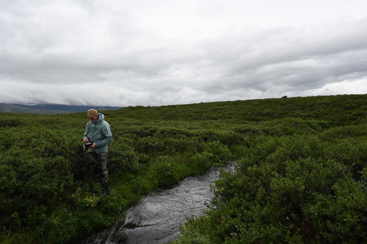 Calvin Newbery tweet media