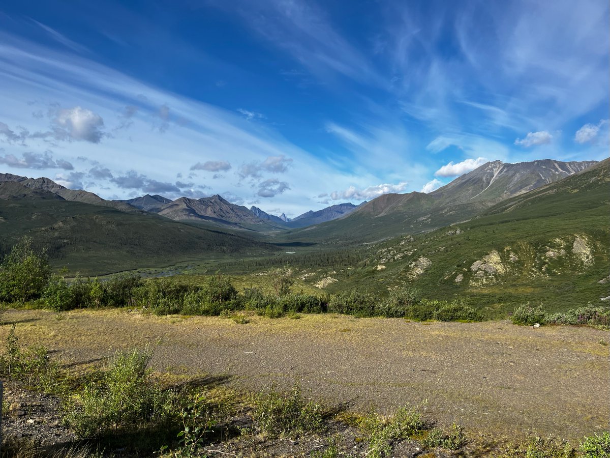 Calvin Newbery tweet media