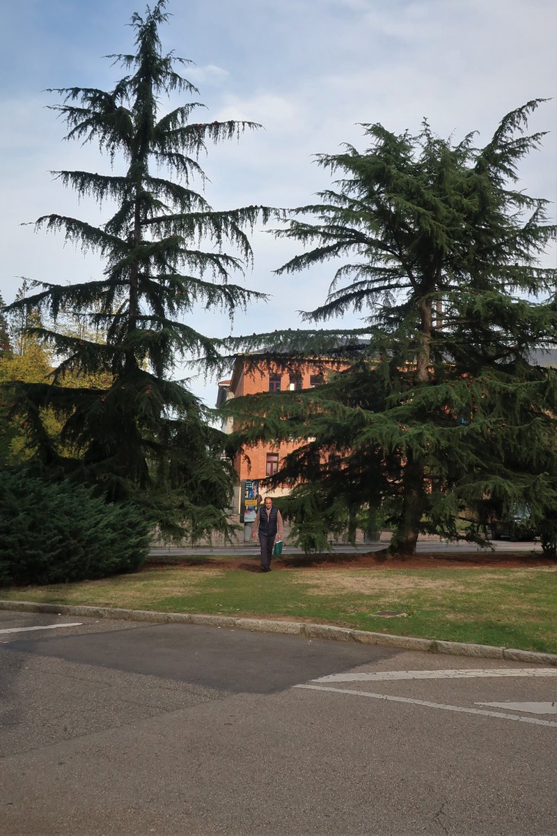 desirepath_look's tweet photo. passing through the magic portal between the trees on the traffic island
📍Calle Llamaquique, Oviedo, Spain https://t.co/TngEZMLZFm