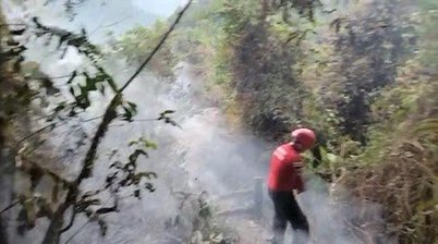 bomberoslosbanc's tweet photo. Hoy se logró controlar el incendio forestal en la parroquia de Mindo, Cantón San Miguel de Los Bancos - Reserva Sacha Urco.

Contamos con el apoyo de 6 efectivos del Cuerpo de Bomberos Quito.

Al momento nuestro personal continúa en el sitio #SiempreAlServicioDeLaComunidad https://t.co/SQAG2KQL1i