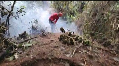 bomberoslosbanc's tweet photo. Hoy se logró controlar el incendio forestal en la parroquia de Mindo, Cantón San Miguel de Los Bancos - Reserva Sacha Urco.

Contamos con el apoyo de 6 efectivos del Cuerpo de Bomberos Quito.

Al momento nuestro personal continúa en el sitio #SiempreAlServicioDeLaComunidad https://t.co/SQAG2KQL1i