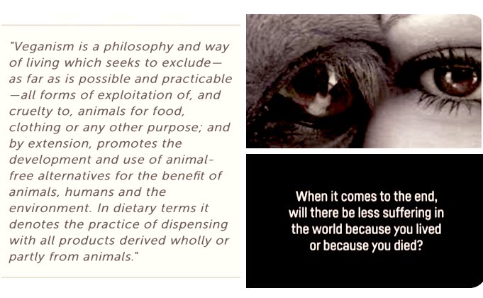 Sherry w/ a whY tweet media