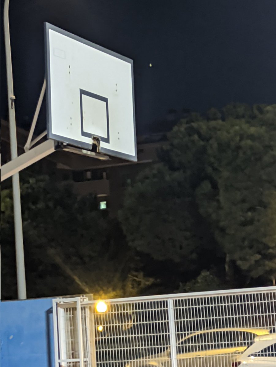 manualmela's tweet photo. DENUNCIABLE!!!!

Després d'un mes els xiquets i xiquetes de Vila-real segueixen sense poder jugar i entrenar a bàsquet amb normalitat perquè ningú es fa càrrec d'una cistella trencada.

Necessitem una solució ja! @ajvila @SMEVILAREAL @ebvilareal @VilarealBC @J_Benlloch https://t.co/iZZK4x7P6M