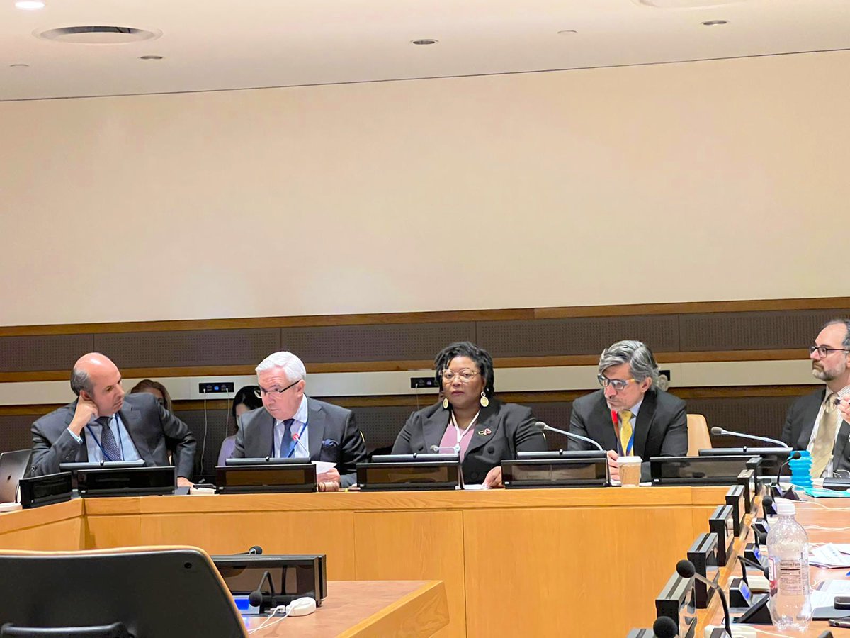 I chaired an event “The role of Special Procedures & the human rights system & their contribution to mainstreaming of human rights, in line with the Call to Action for Human Rights & our Common Agenda. TY @JoseBlanco Chair of the 3rd Committee @FVillegasARG President @UN_HRC