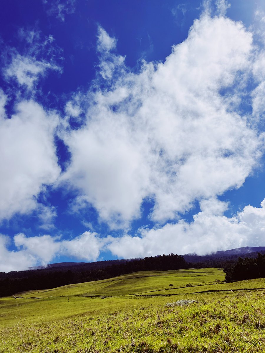 OrionOwens's tweet photo. Gm from upcountry https://t.co/foPZhkv1Si