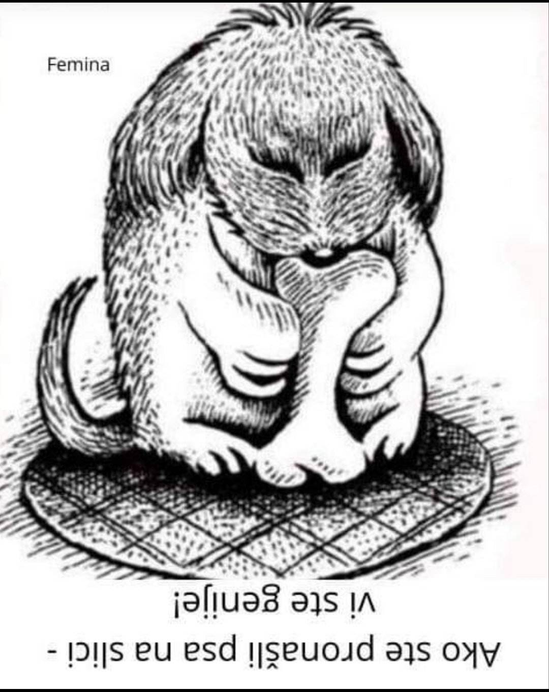 картинки перевертыши для детей 12 лет