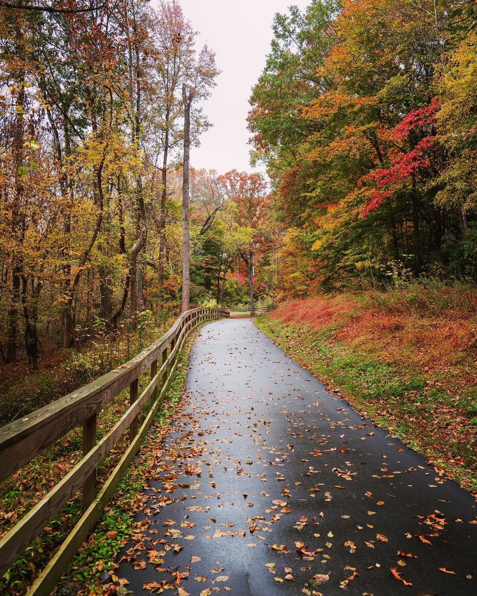 CardinalAndPine's tweet photo. Fall has fallen big time in #NorthCarolina. 🍁
📸 @pagee64 on Instagram, from the River Link Greenway in Belmont
#NCOutdoors #GastonCountyNC https://t.co/k4v6VtnWJi