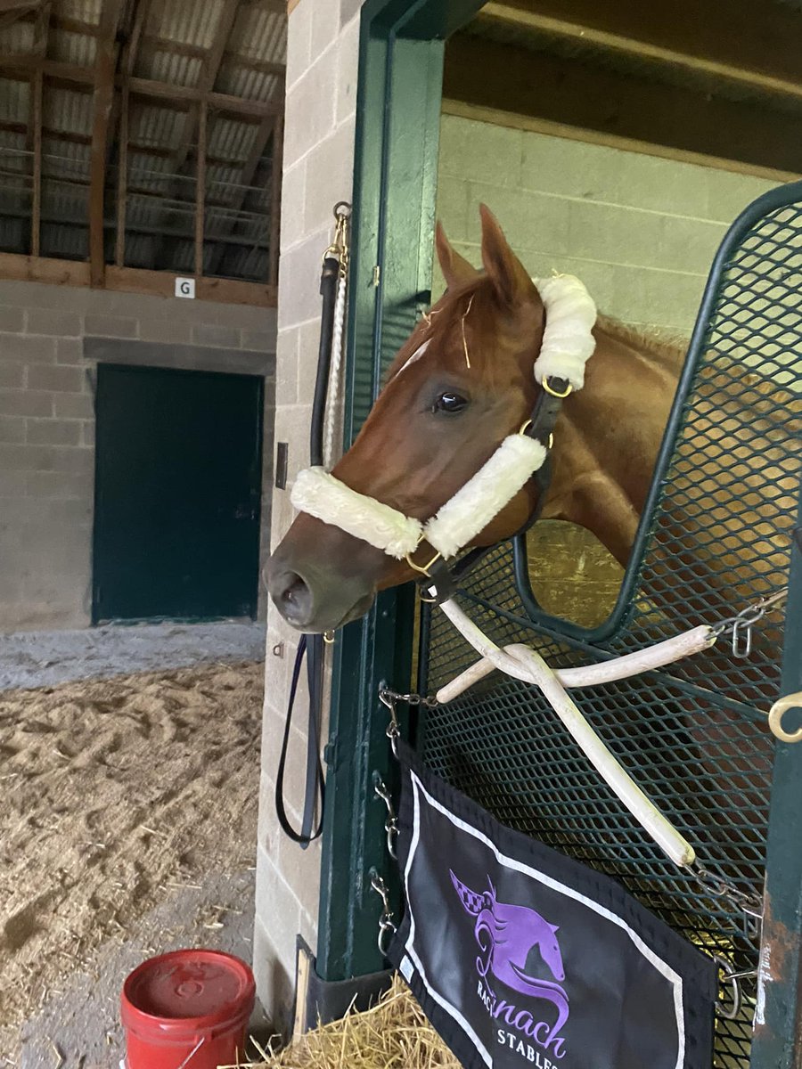 Goodbine56's tweet photo. "It's a tough spot to be in.  Relying on someone else's bad fortune to realize your own good fortune."  

-WO trainer Darwin Banach re:  needing a scratch in Friday's BC Juvy Turf for his boy Bushido to draw in. https://t.co/XjO557MLwD