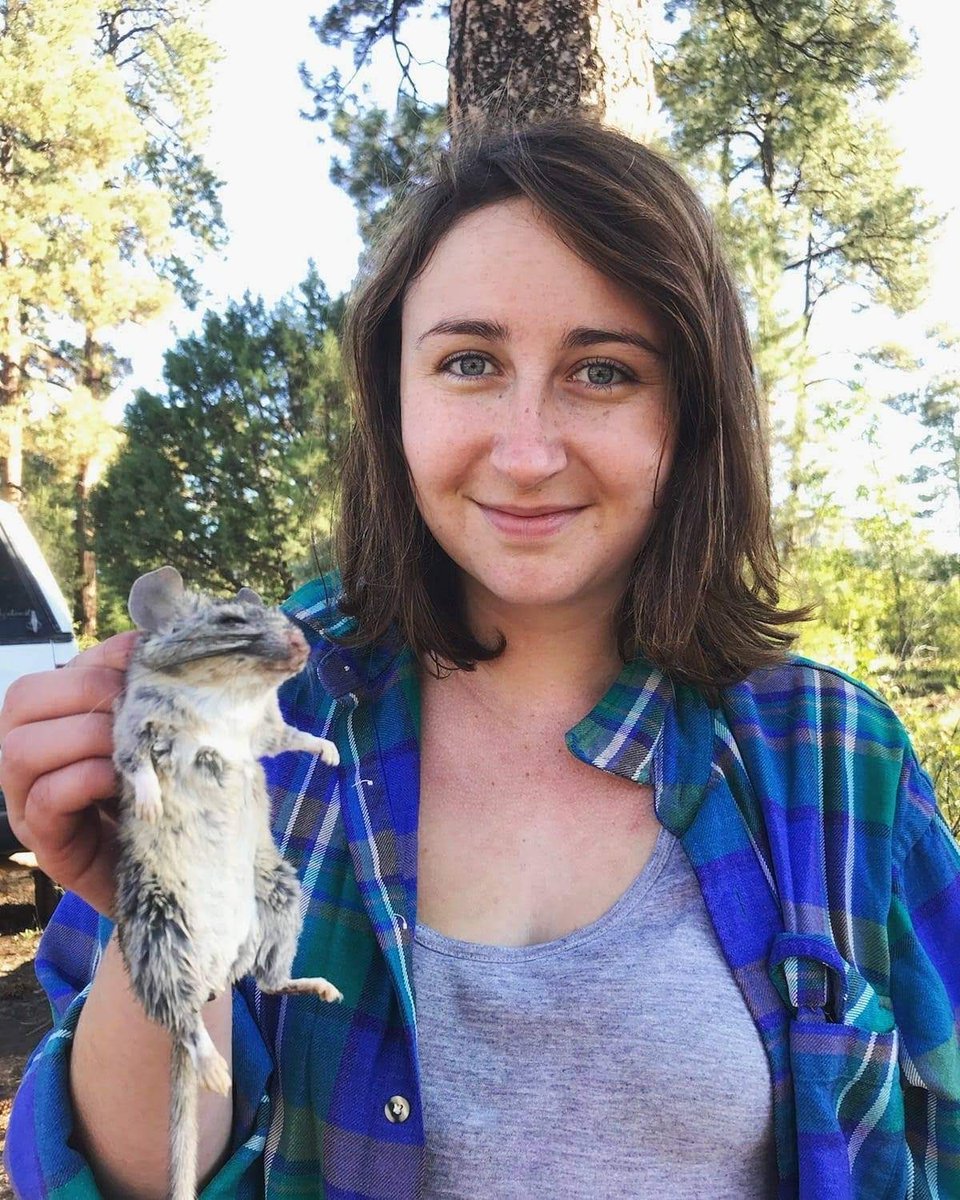 katderieg's tweet photo. I got my start at @UNM_MSB as an undergrad prepping birds &amp; mammals and then eventually leading #ShrewCrew in northern NM. I lead several field crews around the state before doing a master's studying woodrat #phylogeography &amp; #systematics in the American SW. 2/3
#Museum30 https://t.co/6yT3m00Dvb