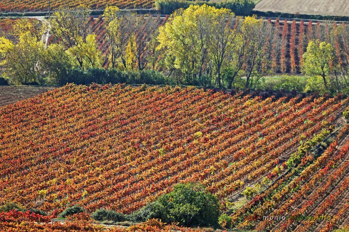 Patrimonio Riojano tweet media