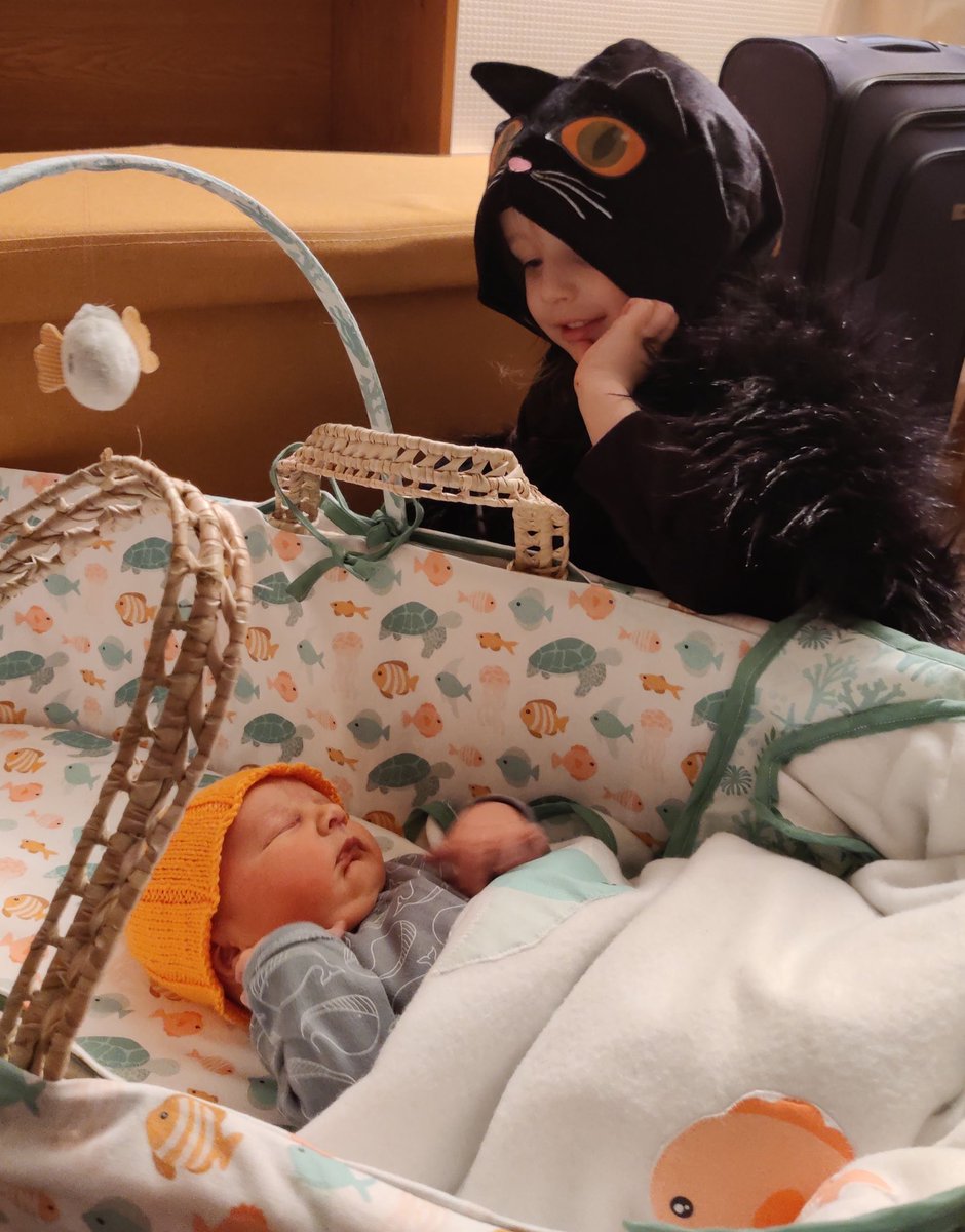 Frances Healey tweet media