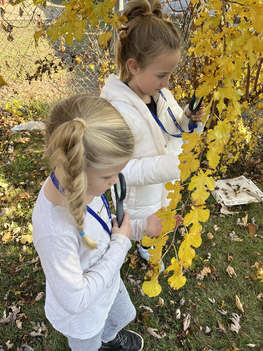 Exploring outdoors just got cooler 🔍
Grade 3's got to test out our brand new magnifying glasses (thanks to @DSBNOutdoorED) to gather the best leaves for our fall visual arts project 🍁