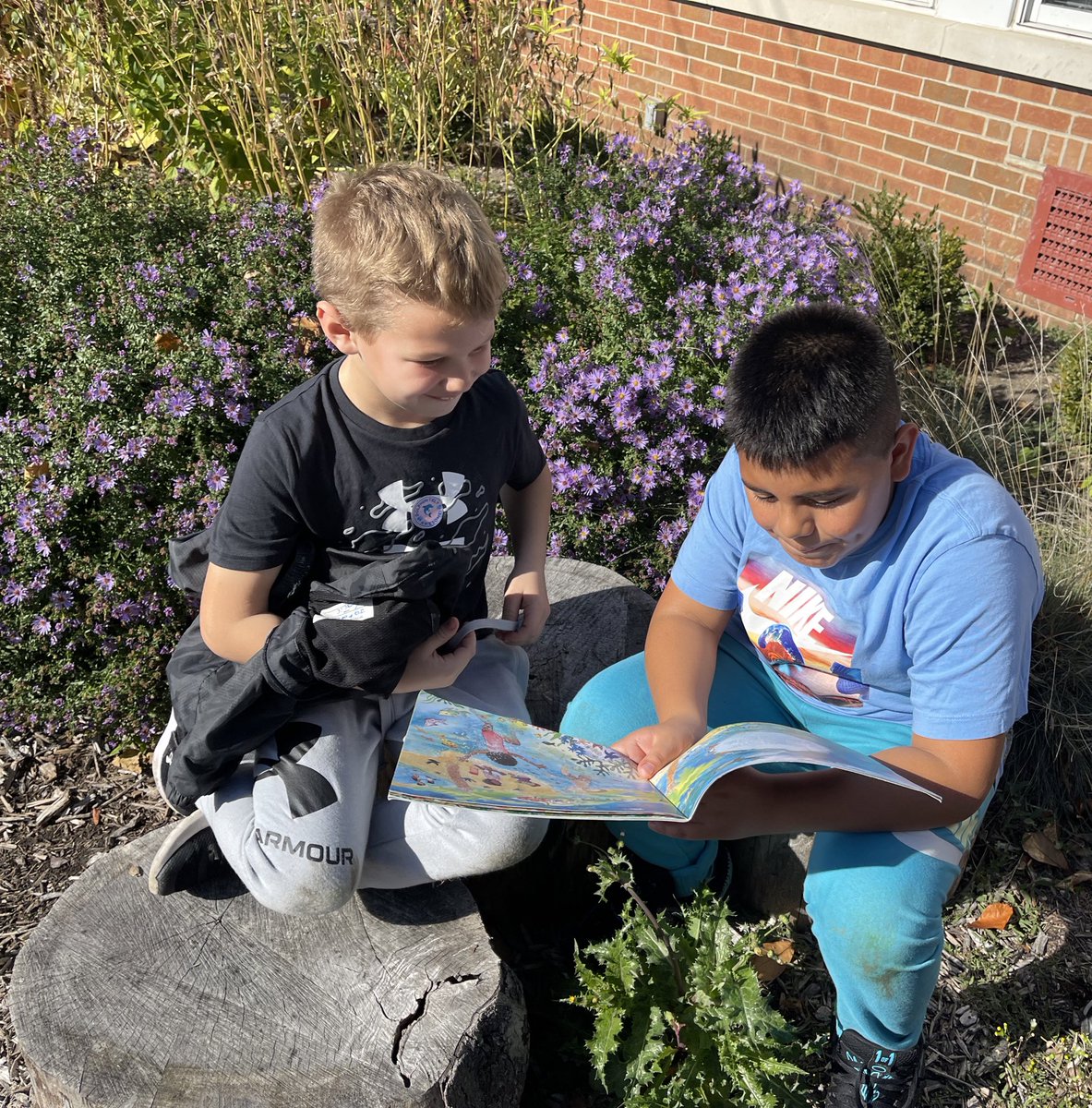 JPlascencia4th's tweet photo. A beautiful day for buddy reading in the school garden. 🧡#d84ontrack https://t.co/b7spdafRBN