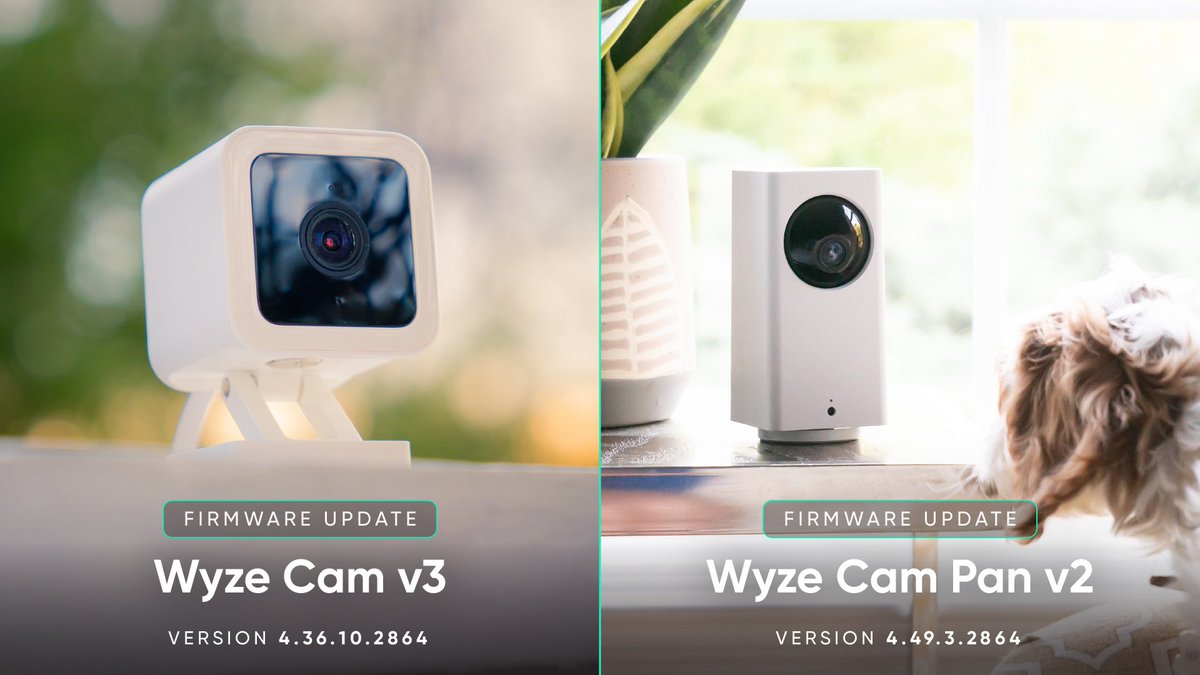 Wyze tweet media
